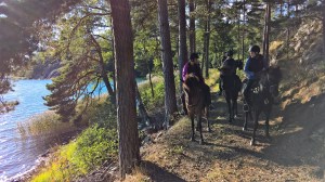 Maastoretki issikoilla