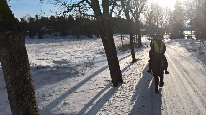 wp_20161112_12_27_24_pro