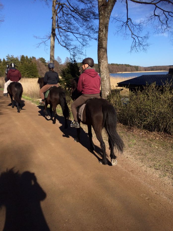 IMG-20170506-WA0006 – kopio