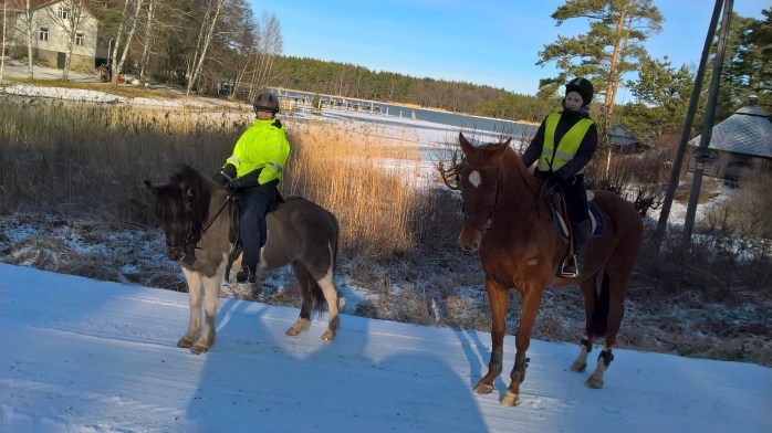 wp_20170221_11_31_52_pro