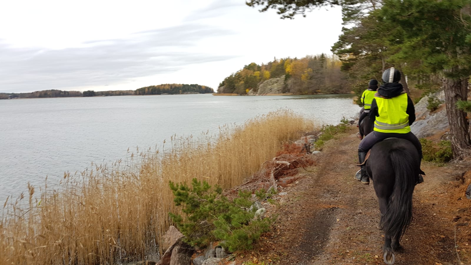 wilhemsberg-paraistenislanninhevostalli-taustakuva