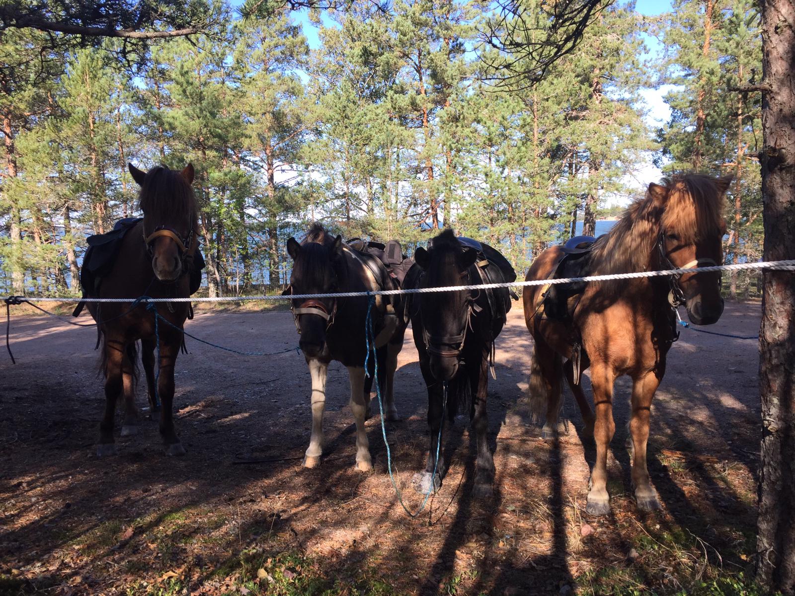 ratsastusvaellus parainen saaristo