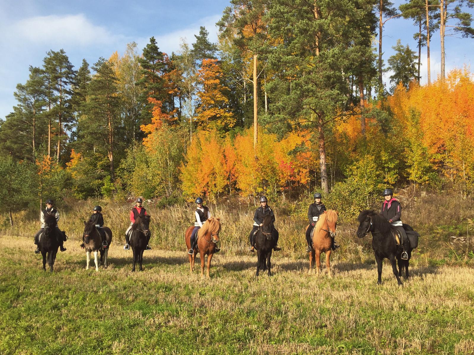 syksy vaellus parainen islanninhevonen ruska