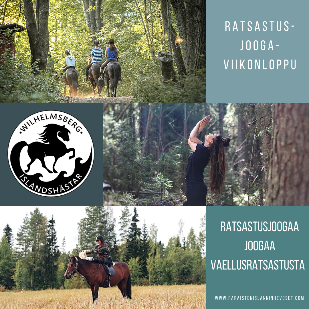 wilhelmsberg paraisten islanninhevoset matilda lindström ratsastusjooga ei pvm sininen