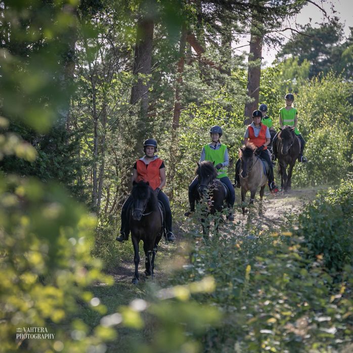 vahtera maasto parainen wilhelmsberg islanninhevonen