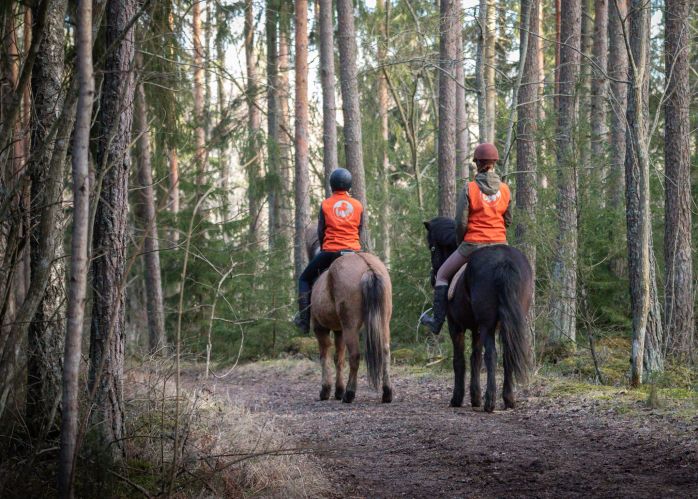 vahtera muni niina karo jomar parainen wilhelmsberg islanninhevonen