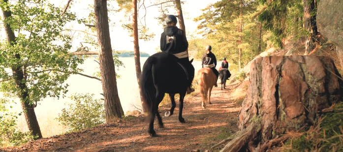 janne stenroos wilhelmsberg paraisten islanninhevoset 1