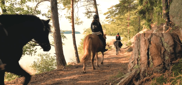 janne stenroos wilhelmsberg paraisten islanninhevoset2