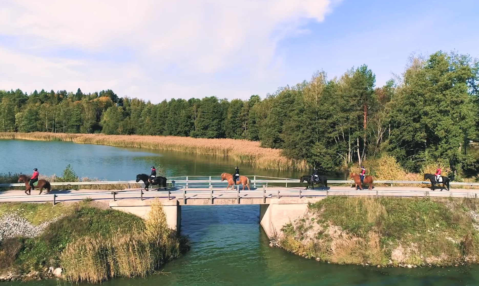 janne stenroos wilhelmsberg paraisten islanninhevoset3